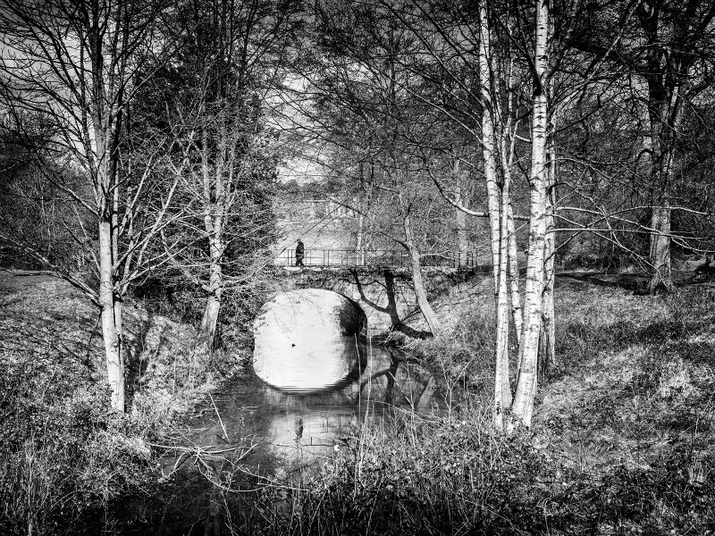  - New Photographic Walks 2017