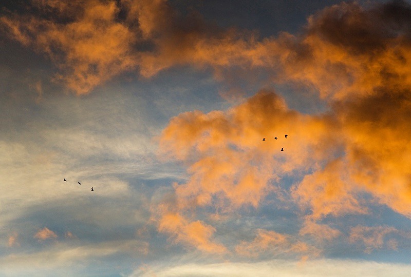  - Beauty of Light 5: Fall of Dusk