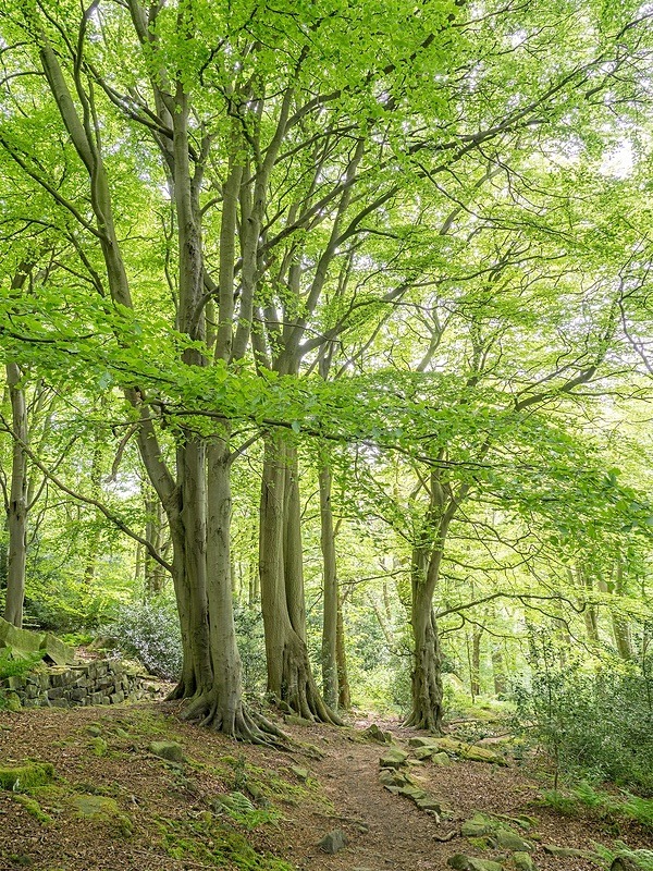  - Photographic Walks in North Yorkshire 2018
