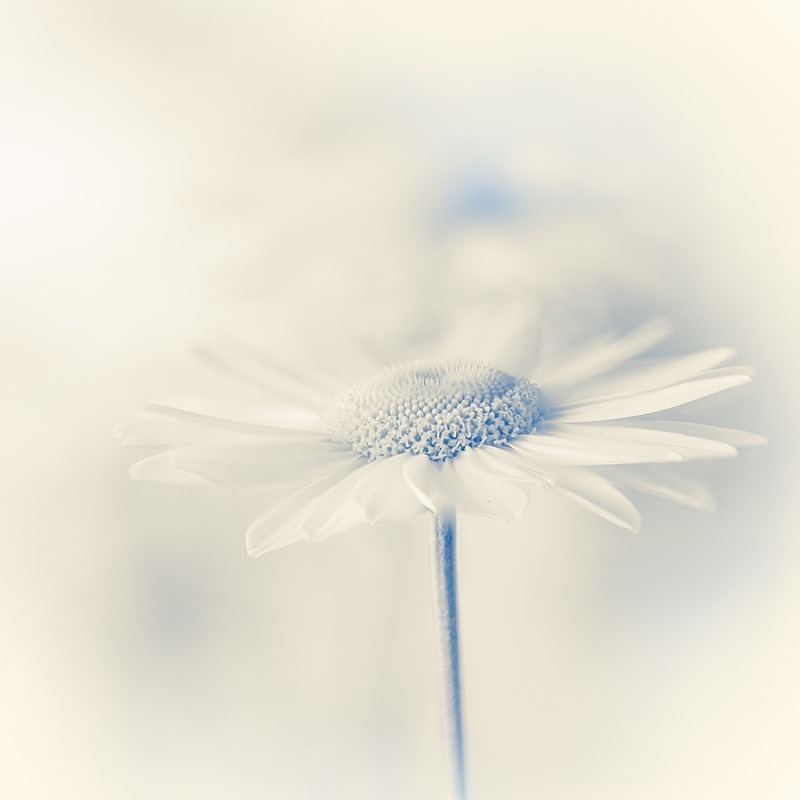  - Quiet - Fine Art Meditative Photography