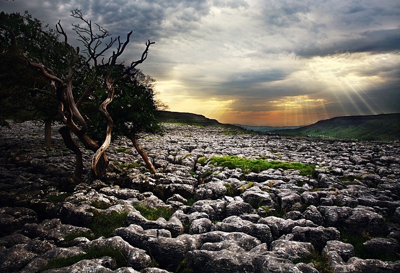  - Beauty of Light 1: Landscape