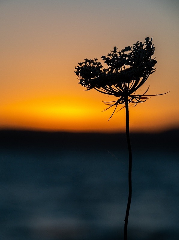 - Beauty of Light 5: Fall of Dusk