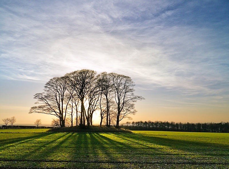  - Beauty of Light 1: Landscape