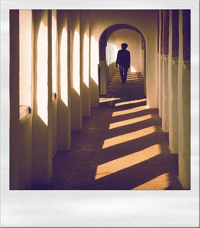  - Polaroid Dreams