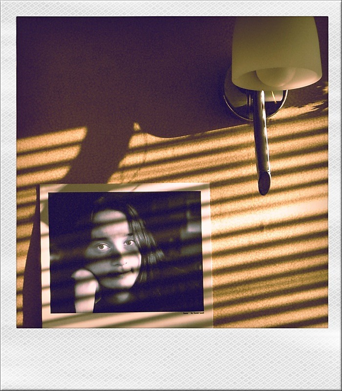  - Polaroid Dreams