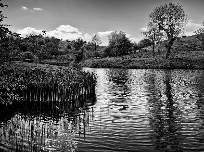  - Photographic Walks in North Yorkshire