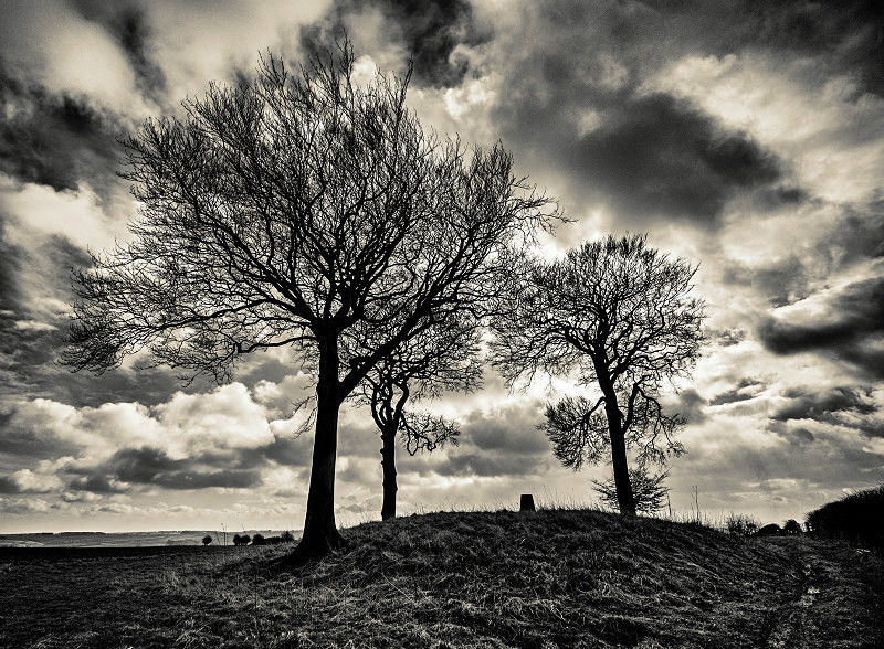  - New Photographic Walks 2017
