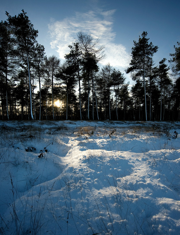  - Photographic Walks in North Yorkshire