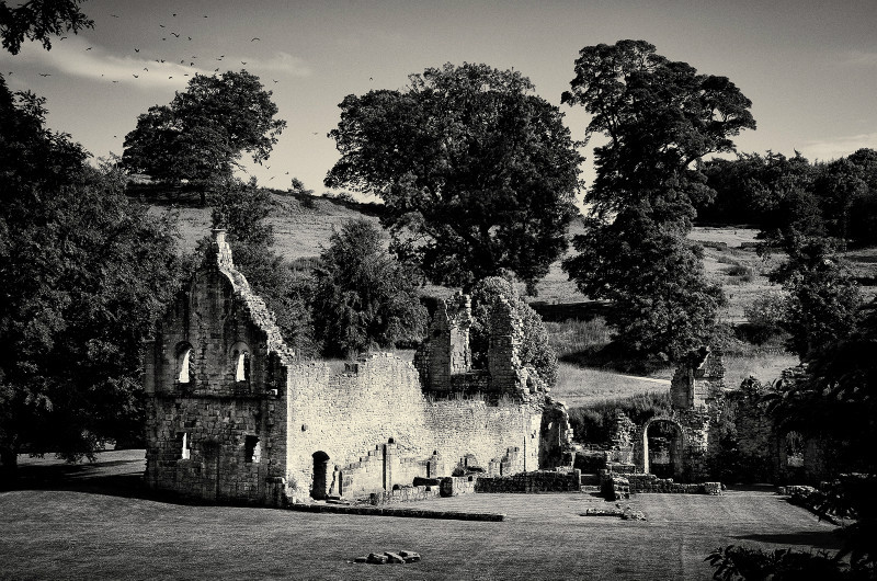  - Photographic Walks in North Yorkshire