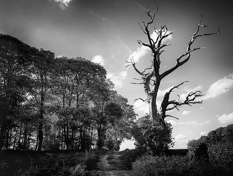  - Photographic Walks in North Yorkshire 2018