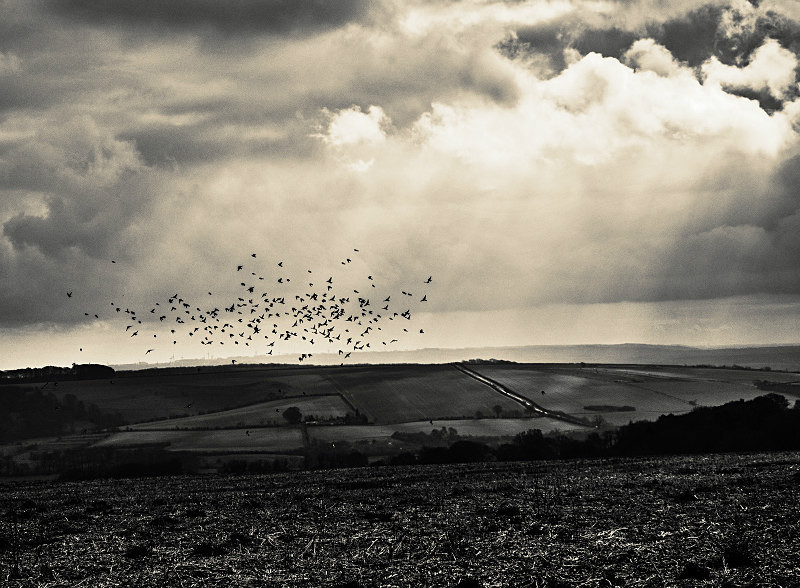  - New Photographic Walks 2017