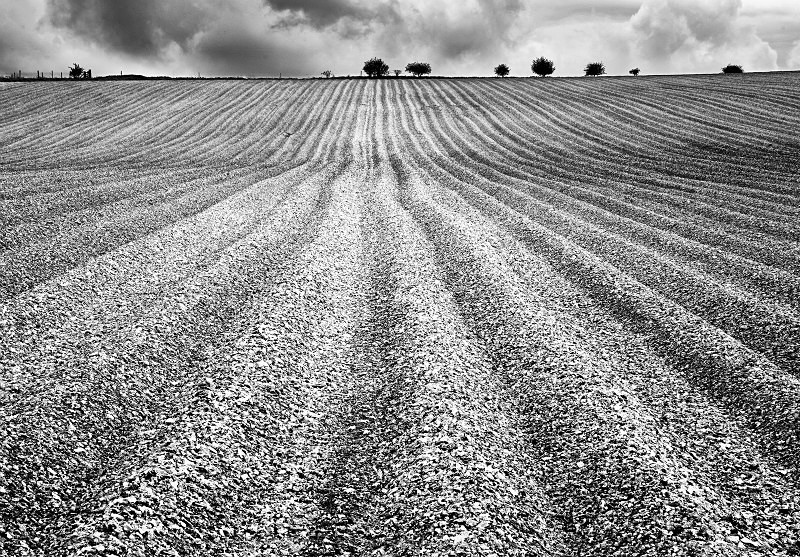  - Photographic Walks in North Yorkshire