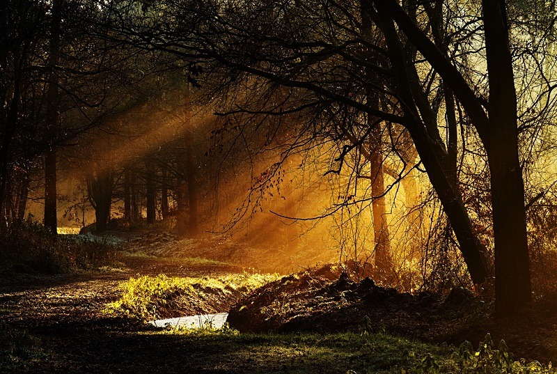  - Beauty of Light 1: Landscape