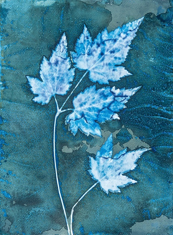  - Last Chance to See - Lumen; the Fragility of Nature