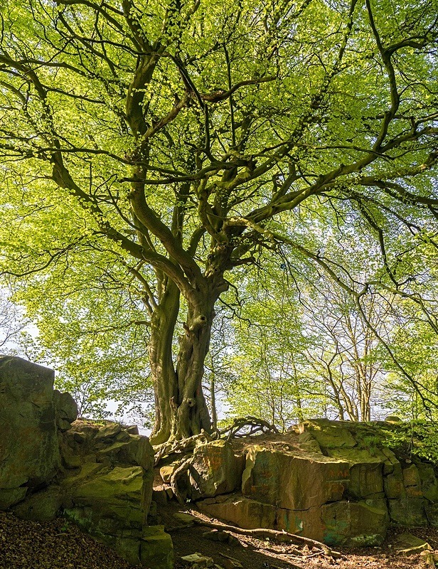  - Photographic Walks in North Yorkshire 2018