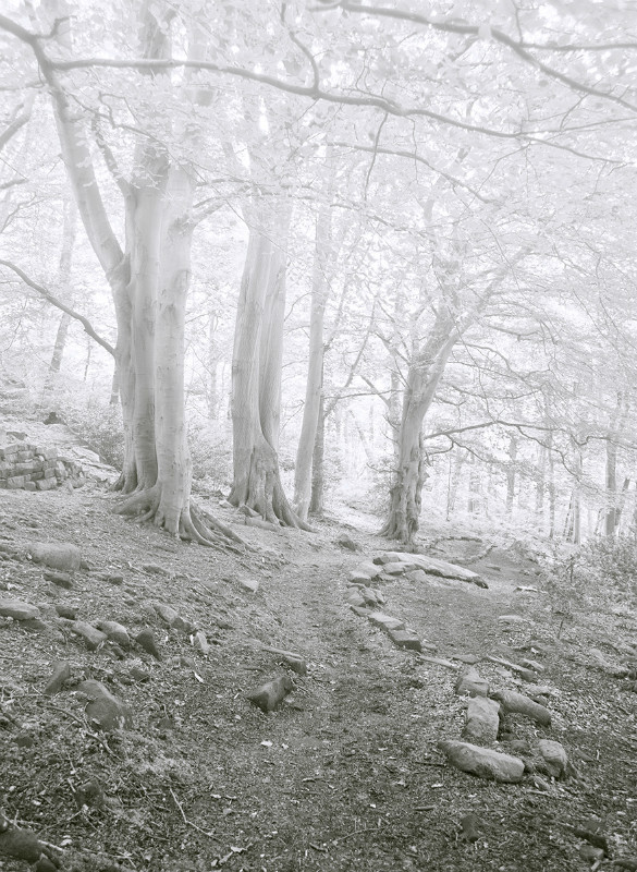  - Photographic Walks in North Yorkshire