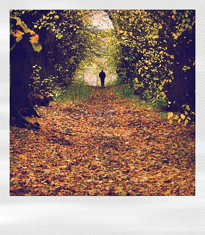  - Polaroid Dreams