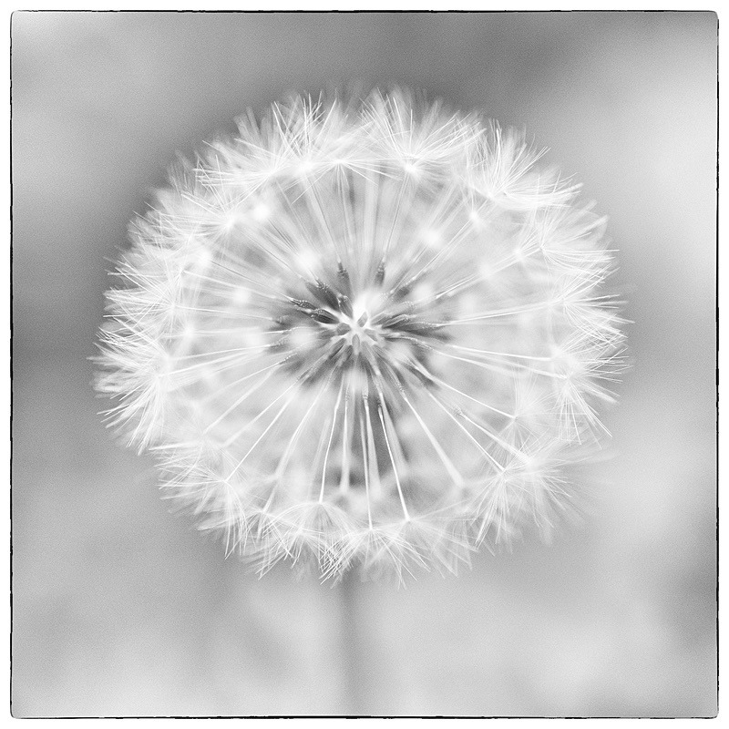  - Photographic Walks in North Yorkshire 2018