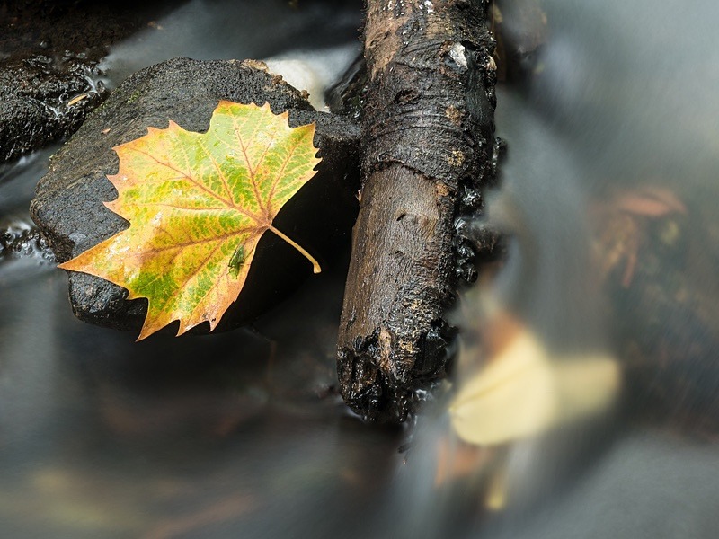  - Beauty of Light 6: Water