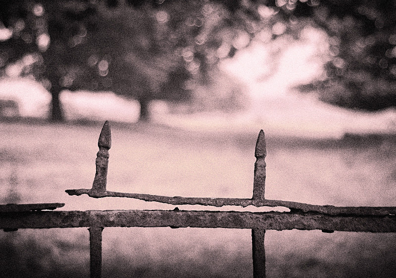  - Photographic Walks in North Yorkshire