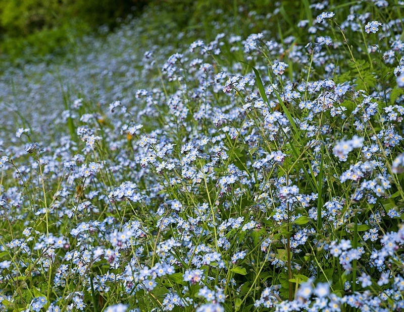  - Photographic Walks in North Yorkshire 2018