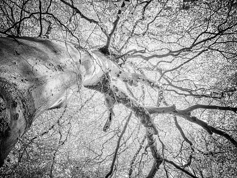  - Photographic Walks in North Yorkshire 2018