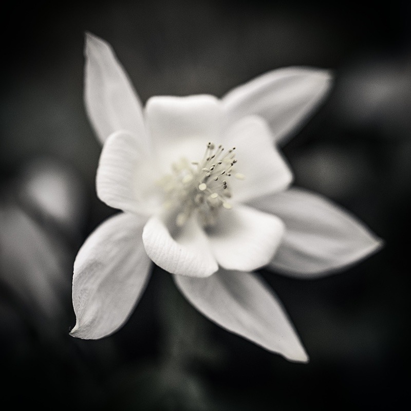  - Quiet - Fine Art Meditative Photography