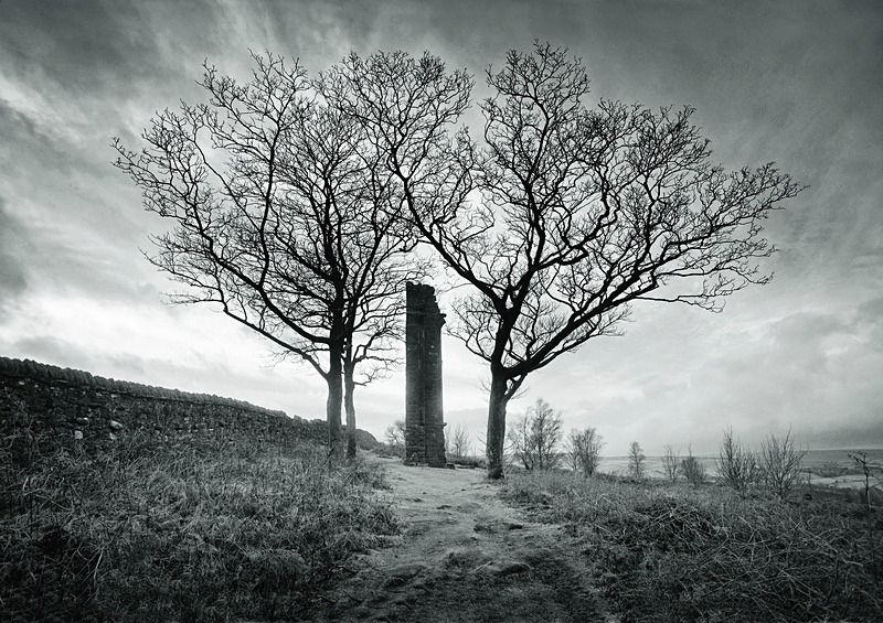  - Seasonal Change 1: Winter Trees