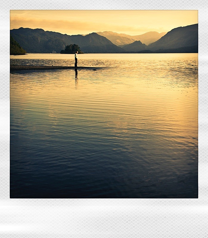  - Polaroid Dreams