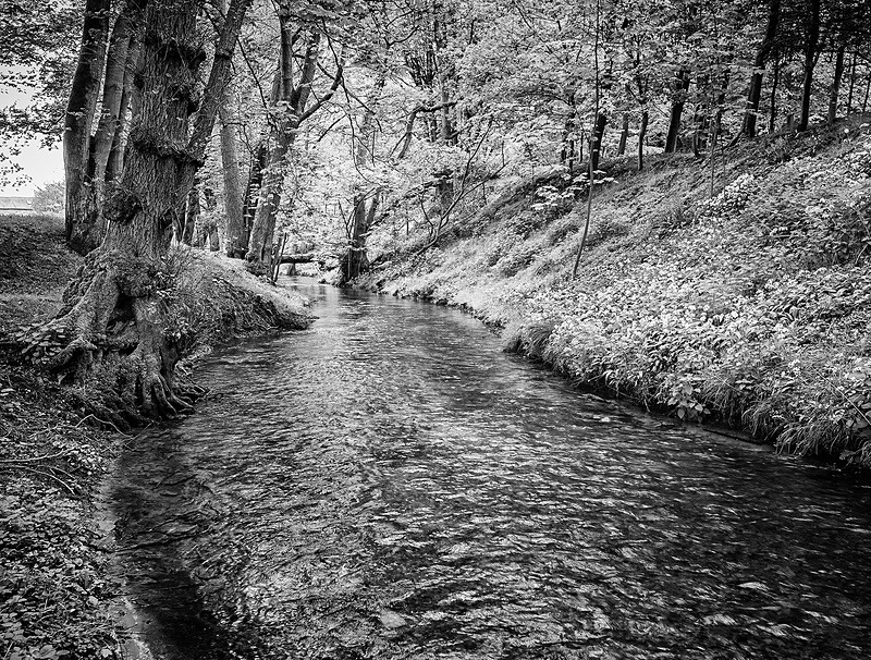  - Photographic Walks in North Yorkshire 2018