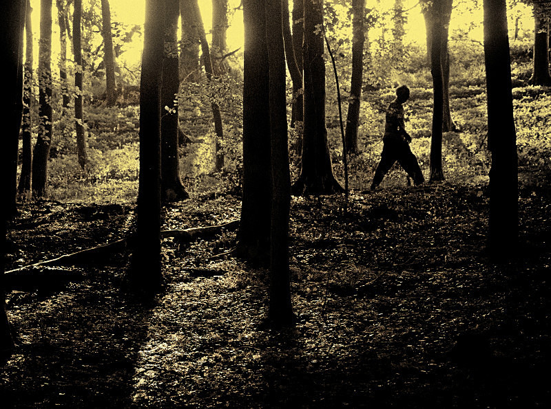  - Photographic Walks in North Yorkshire