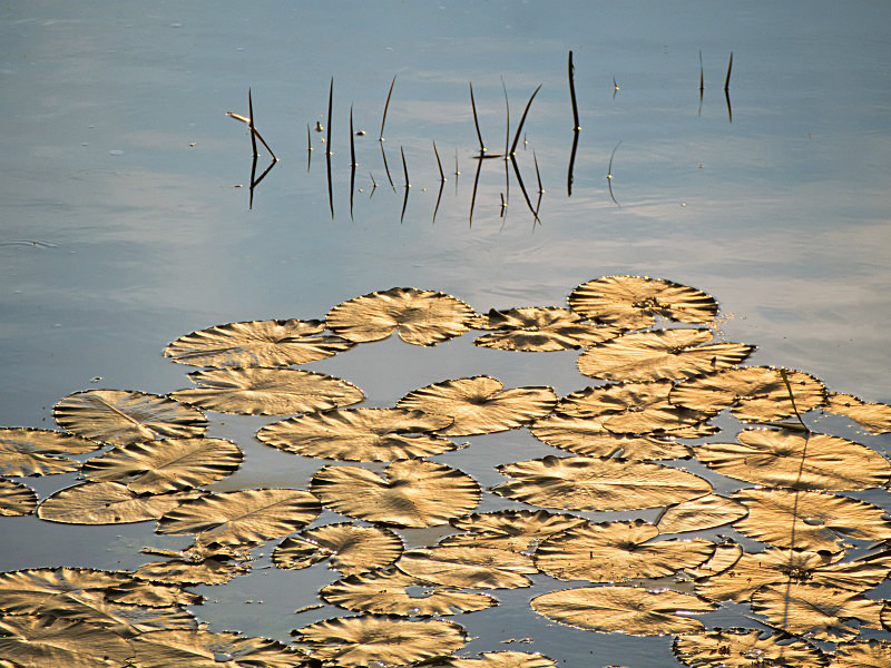  - New Photographic Walks 2017