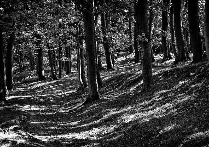  - Photographic Walks in North Yorkshire