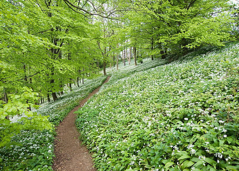  - Photographic Walks in North Yorkshire