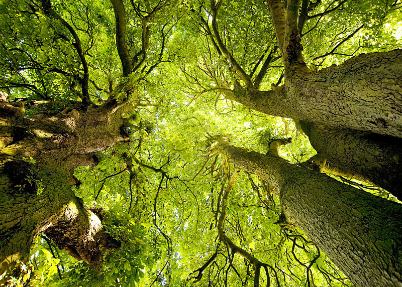  - Photographic Walks in North Yorkshire
