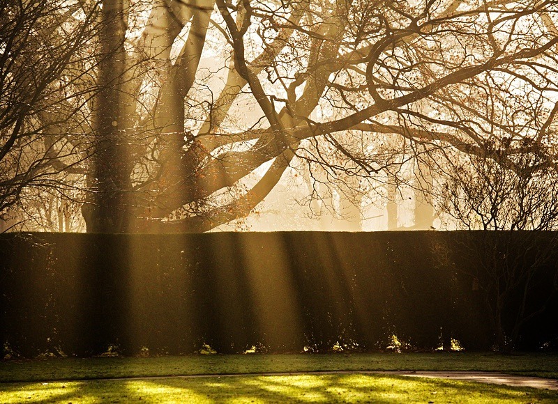 - Beauty of Light 2: Cityscape