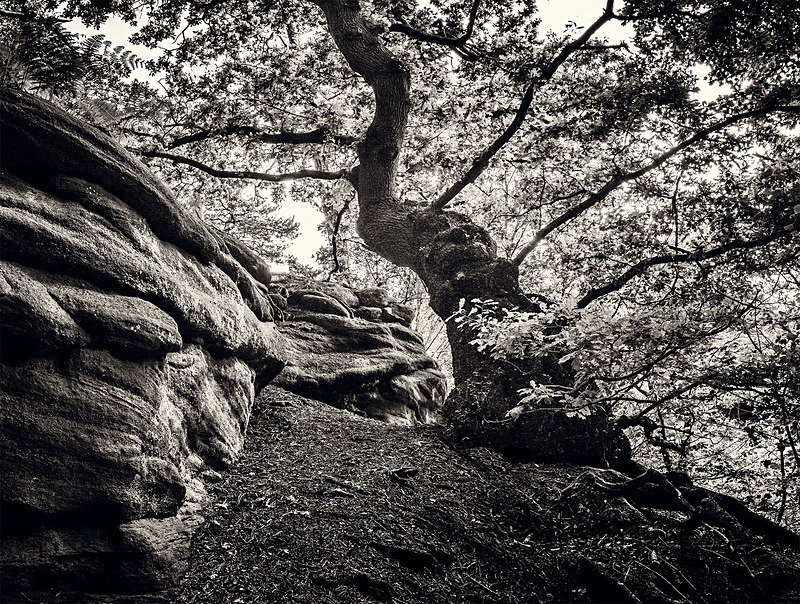 - Photographic Walks in North Yorkshire 2018