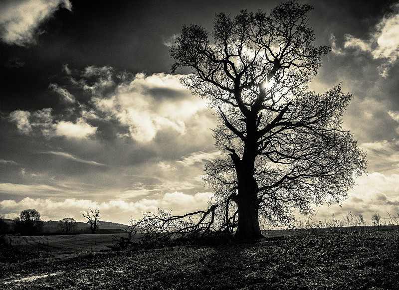  - New Photographic Walks 2017