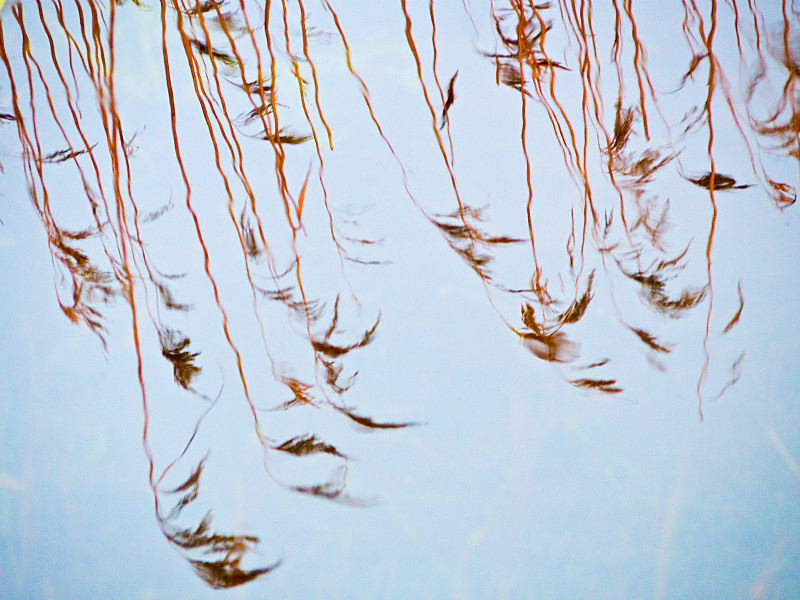  - New Photographic Walks 2017