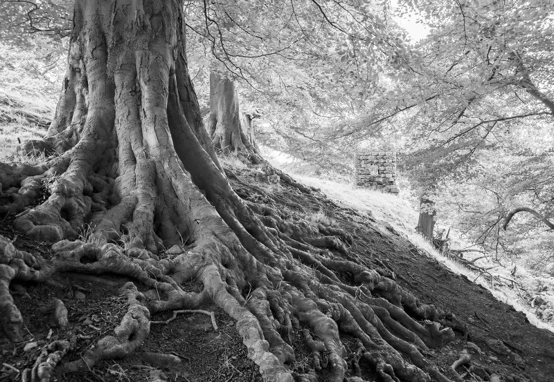  - Photographic Walks in North Yorkshire