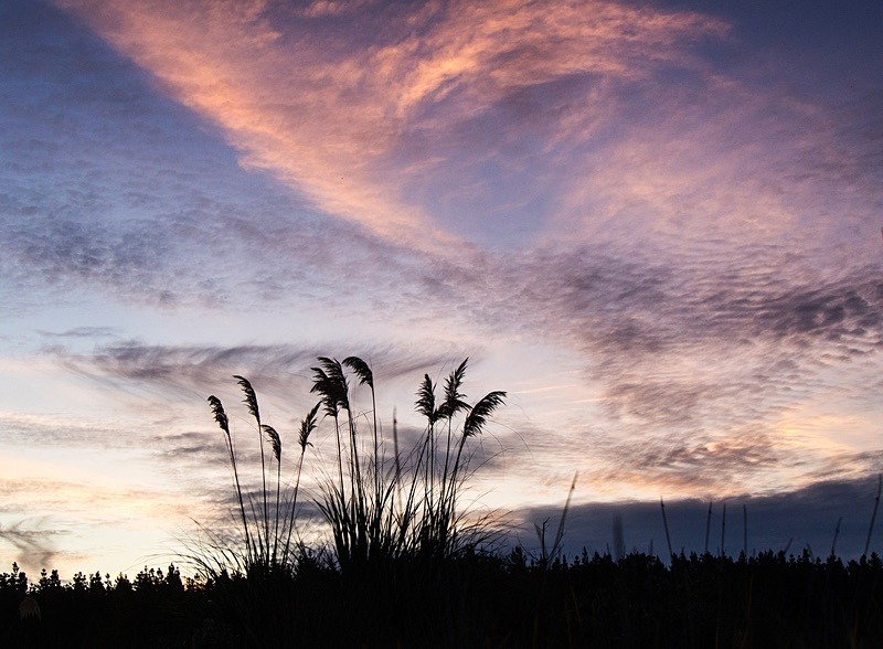  - Beauty of Light 1: Landscape