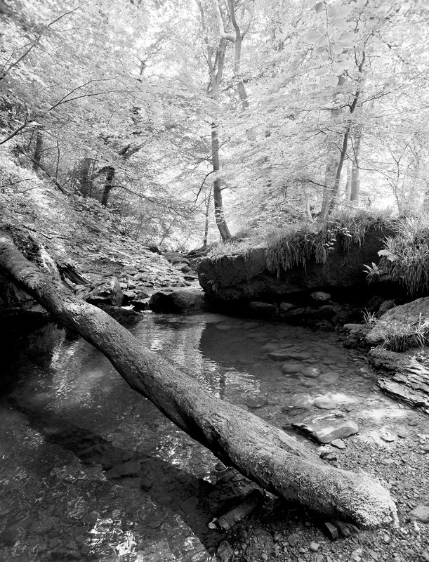  - Photographic Walks in North Yorkshire