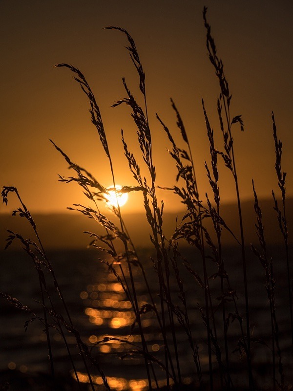  - Beauty of Light 3: Contre-Jour