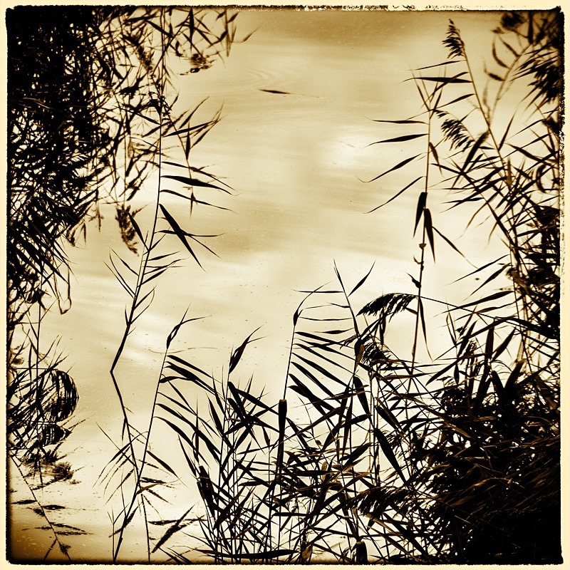  - Seasonal Change 3: Autumn Hanami