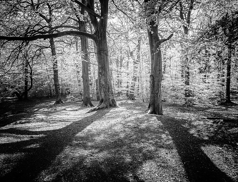  - Photographic Walks in North Yorkshire 2018