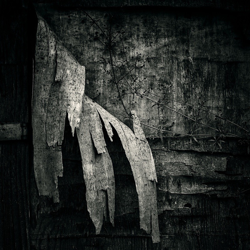  - Wabi Sabi