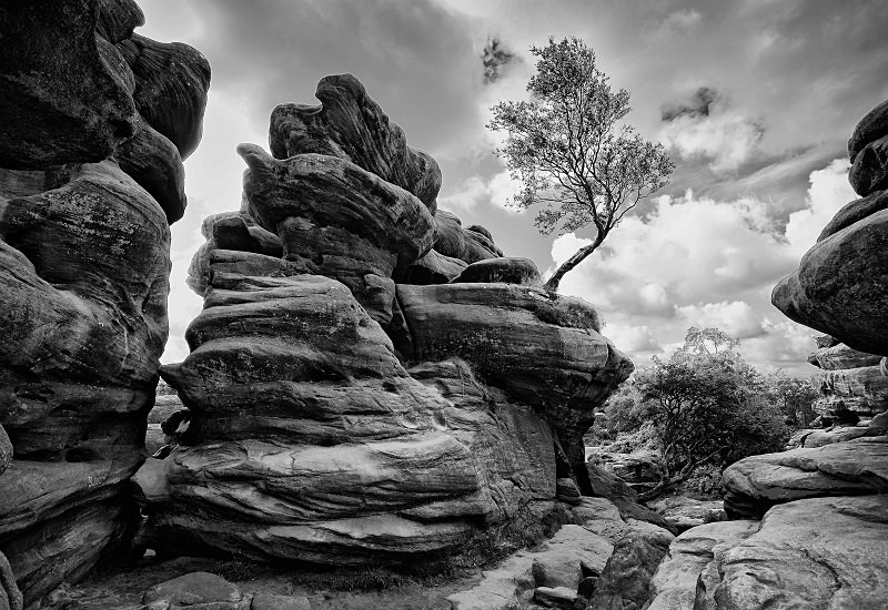  - Photographic Walks in North Yorkshire
