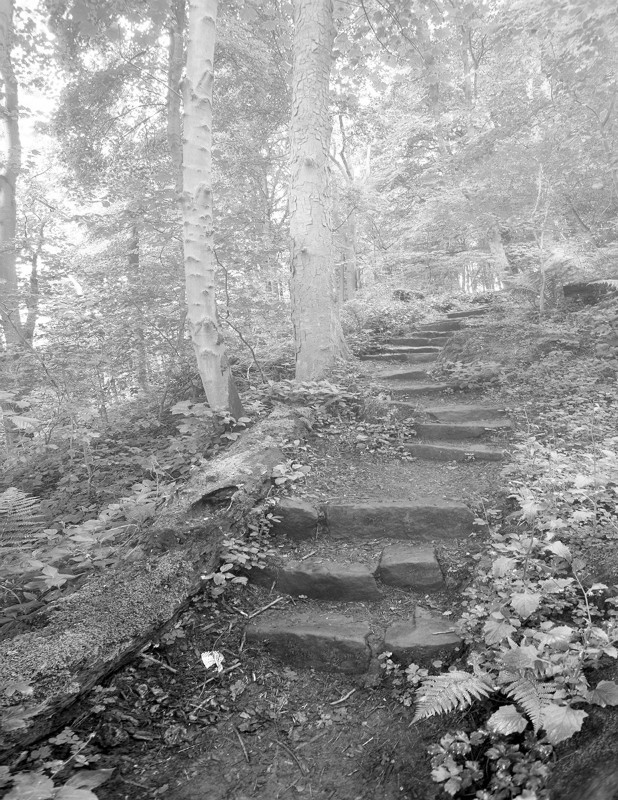  - Photographic Walks in North Yorkshire