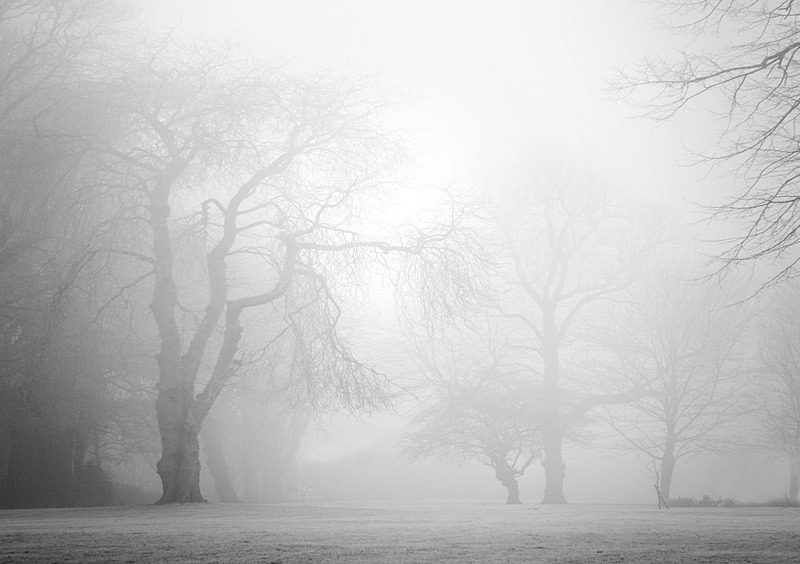  - Seasonal Change 1: Winter Trees