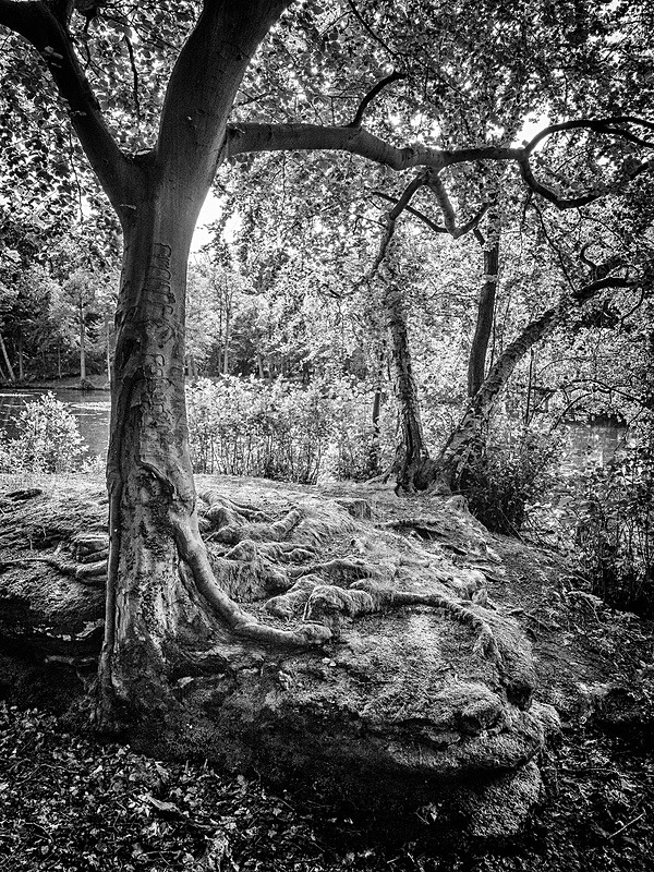  - Photographic Walks in North Yorkshire 2018